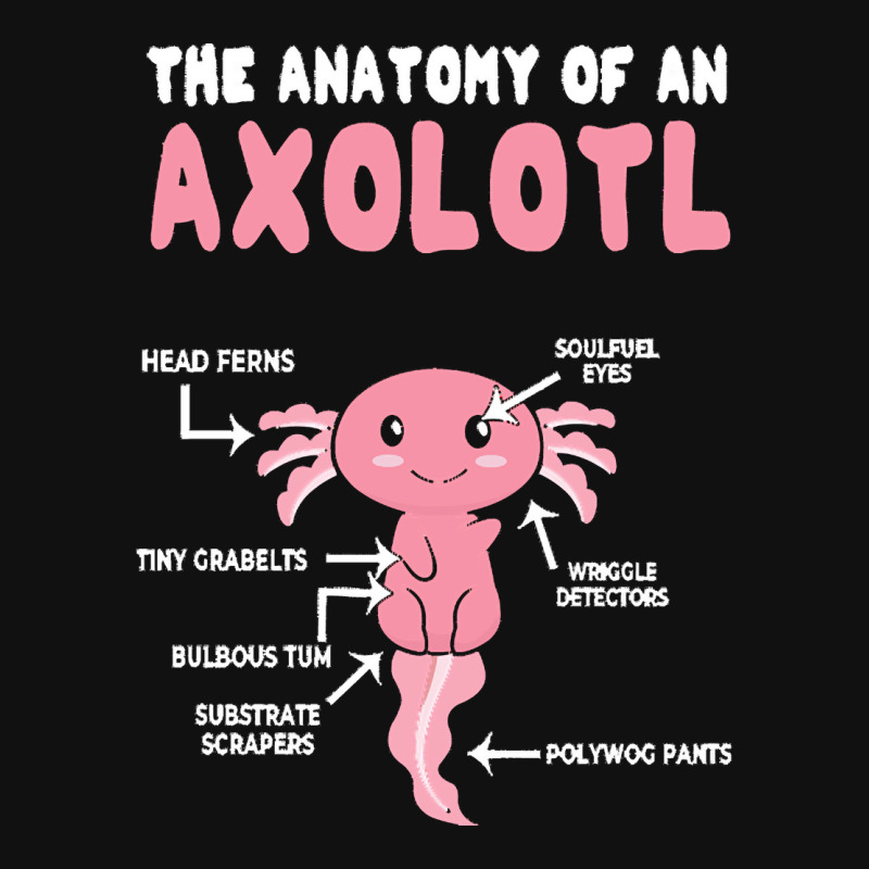 Custom Axolotl T Shirt Anatomy Of Axolotls Cute Fish Kawaii Axolotl T