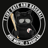 I Like The Cats And Baseball And Maybe 3 People Blackie Cat Scorecard Crop Tee | Artistshot