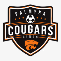 Junior Senior High School At Palmyra Soccer Ladies Fitted T-shirt | Artistshot