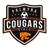 Junior Senior High School At Palmyra Soccer Youth Tee | Artistshot