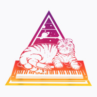 Synthesizer Cat Techno Synth Analog T Shirt T-shirt | Artistshot