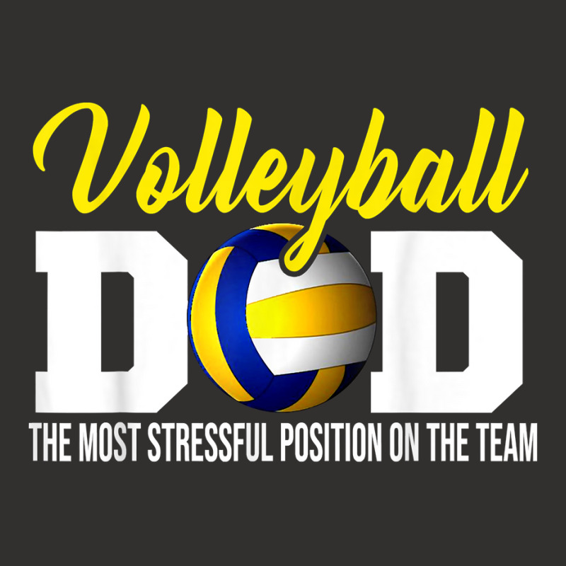 Volleyball Dad The Most Stressful Position Happy Fathers Day T Shirt Champion Hoodie | Artistshot