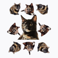 Tortie Cat Tortoiseshell Overload Multi Cat T Shirt T-shirt | Artistshot