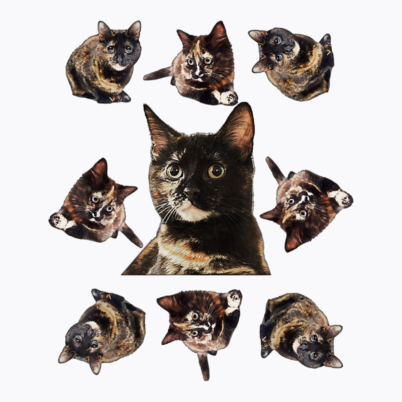 Tortie Cat Tortoiseshell Overload Multi Cat T Shirt T-Shirt by derosaatlamos | Artistshot