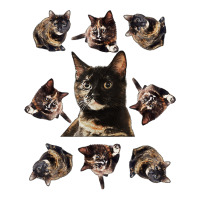 Tortie Cat Tortoiseshell Overload Multi Cat T Shirt Crewneck Sweatshirt | Artistshot