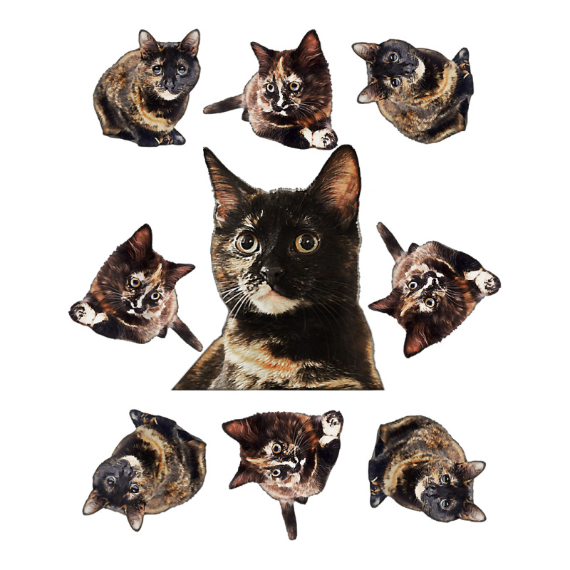 Tortie Cat Tortoiseshell Overload Multi Cat T Shirt Zipper Hoodie by derosaatlamos | Artistshot