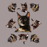 Tortie Cat Tortoiseshell Overload Multi Cat T Shirt Vintage Short | Artistshot