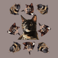 Tortie Cat Tortoiseshell Overload Multi Cat T Shirt Vintage T-shirt | Artistshot