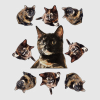 Tortie Cat Tortoiseshell Overload Multi Cat T Shirt Hoodie & Jogger Set | Artistshot