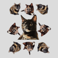 Tortie Cat Tortoiseshell Overload Multi Cat T Shirt Men's Polo Shirt | Artistshot