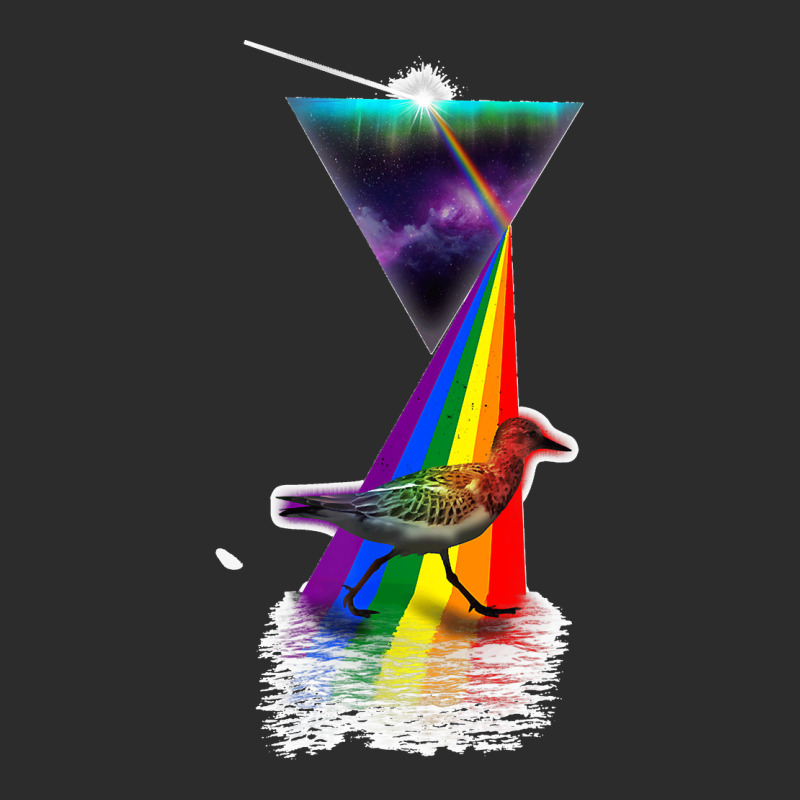 Vintage Retro Prism Woodcock Exclusive T-shirt by LeonelSalas | Artistshot