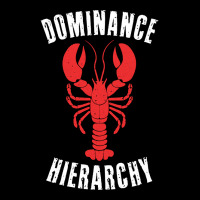 Dr Peterson Shirt Dominance Hierarchy Lobster 12 Rules Bucko Cropped Sweater | Artistshot