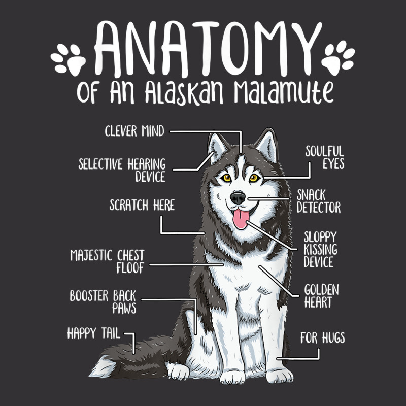 Funny Anatomy Alaskan Malamute Dog Lover T Shirt Vintage Short | Artistshot