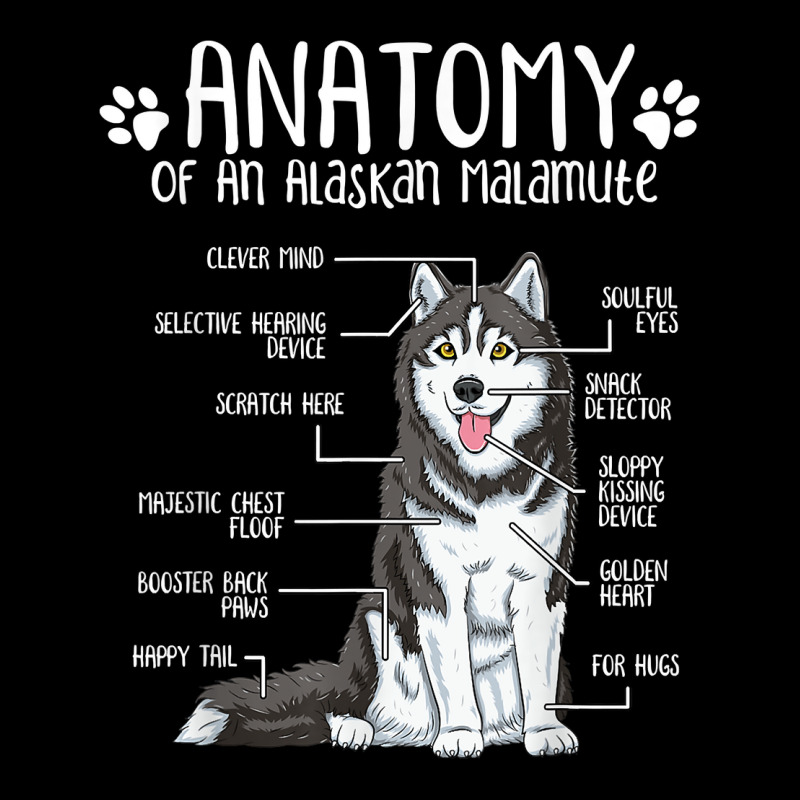 Funny Anatomy Alaskan Malamute Dog Lover T Shirt Lightweight Hoodie | Artistshot