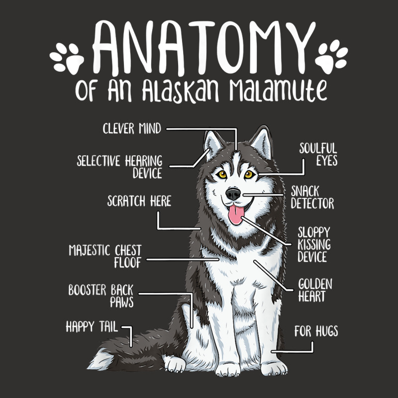 Funny Anatomy Alaskan Malamute Dog Lover T Shirt Champion Hoodie | Artistshot