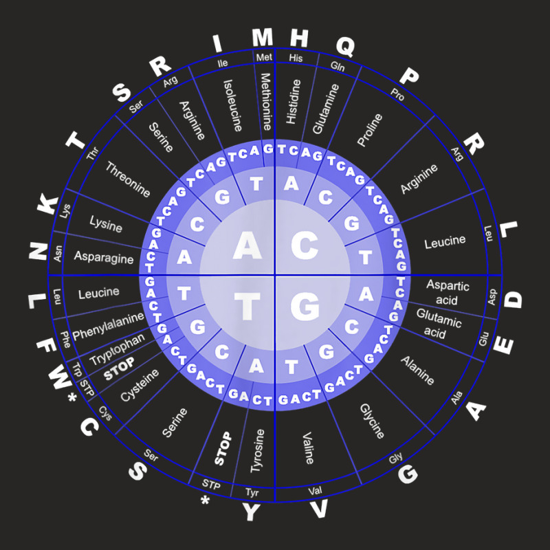 Amino Acid Wheel Science Dna Genetics Scientist Gift T Shirt Ladies Fitted T-Shirt by caulkyuladdenrxi | Artistshot