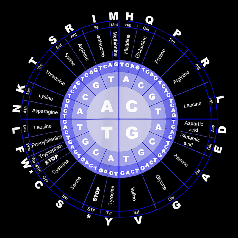 Amino Acid Wheel Science Dna Genetics Scientist Gift T Shirt Legging by caulkyuladdenrxi | Artistshot