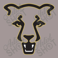 The Uccs Mountain Lions, Colorado Springs Vintage Hoodie | Artistshot