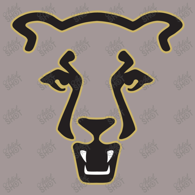 The Uccs Mountain Lions, Colorado Springs Vintage Hoodie | Artistshot