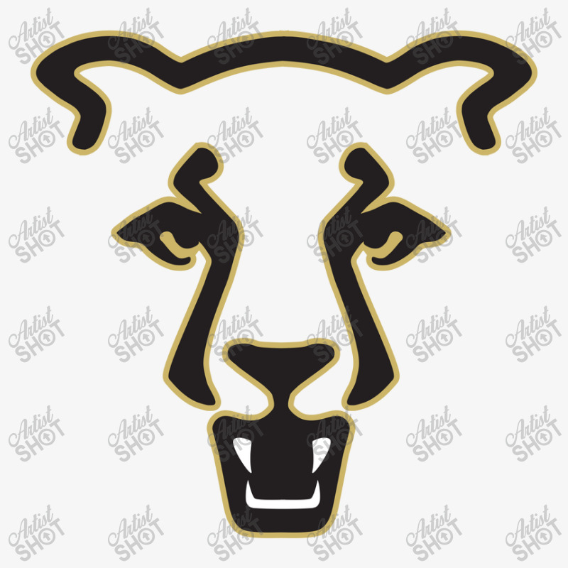 The Uccs Mountain Lions, Colorado Springs Champion Hoodie | Artistshot