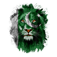 Pakistan Flag Lion Face Pakistani Pride Vintage T Shirt Youth Tee | Artistshot