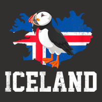 Iceland Puffin, Puffin T Shirt Champion Hoodie | Artistshot