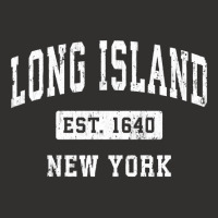 Long Island New York Ny Vintage Established Sports Design Sweatshirt Champion Hoodie | Artistshot