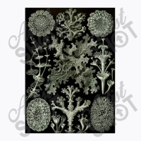 Lichen By Ernst T-shirt | Artistshot