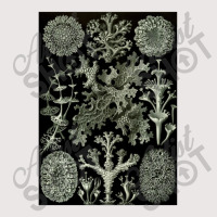 Lichen By Ernst Pocket T-shirt | Artistshot