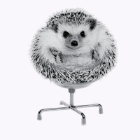 Funny Hedgehog In An Office Chair Ready For Work Fat Animal T Shirt Tank Top | Artistshot