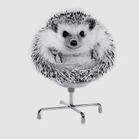 Funny Hedgehog In An Office Chair Ready For Work Fat Animal T Shirt Exclusive T-shirt | Artistshot