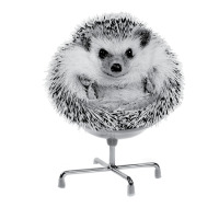 Funny Hedgehog In An Office Chair Ready For Work Fat Animal T Shirt Men's T-shirt Pajama Set | Artistshot