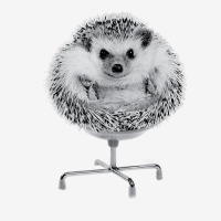 Funny Hedgehog In An Office Chair Ready For Work Fat Animal T Shirt Classic T-shirt | Artistshot