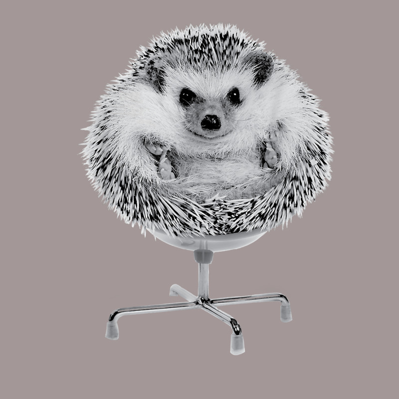 Funny Hedgehog In An Office Chair Ready For Work Fat Animal T Shirt Vintage Short by riogasehzilahiy | Artistshot