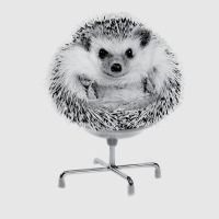 Funny Hedgehog In An Office Chair Ready For Work Fat Animal T Shirt Hoodie & Jogger Set | Artistshot