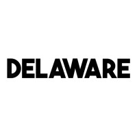 Delaware T Shirt Youth Tee | Artistshot