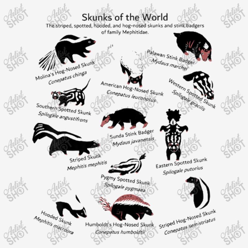 Skunks Of The World Species Of Mephitidae Adjustable Cap | Artistshot