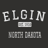 Elgin North Dakota Cavalier County Nd Vintage T Shirt Champion Hoodie | Artistshot