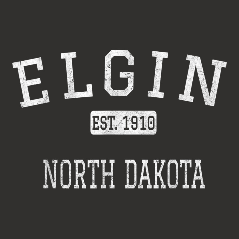 Elgin North Dakota Cavalier County Nd Vintage T Shirt Champion Hoodie | Artistshot