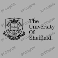 The University Of Sheffield. Ladies Fitted T-shirt | Artistshot