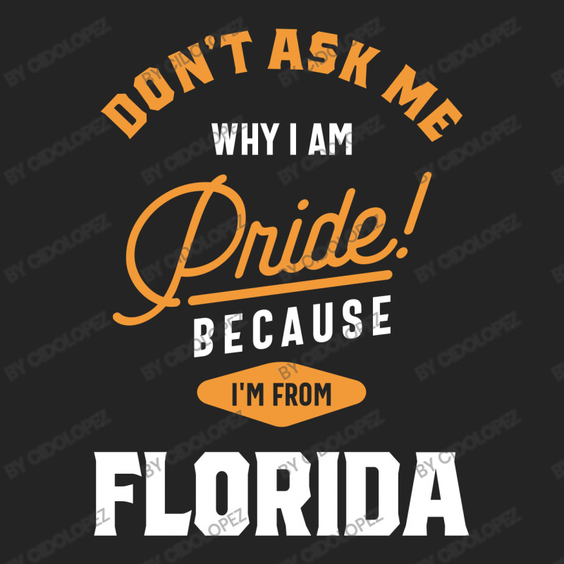 I'm From Florida 3/4 Sleeve Shirt | Artistshot