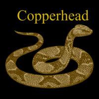 Copperhead Snake Venomous Pit Viper Long Sleeve T Shirt Zipper Hoodie | Artistshot