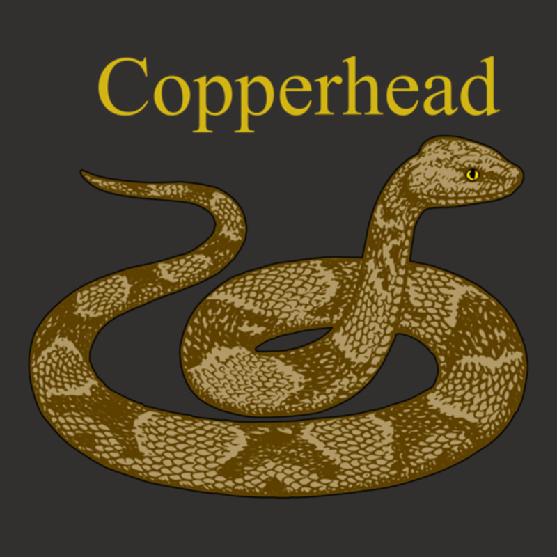 Copperhead Snake Venomous Pit Viper Long Sleeve T Shirt Champion Hoodie | Artistshot