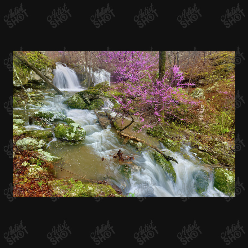 Coward's Hollow Shut Ins Ii Landscape Canvas Print | Artistshot