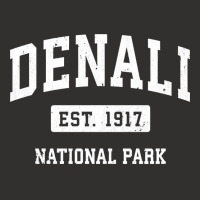 Denali Vintage National Park Sports Design Long Sleeve T Shirt Champion Hoodie | Artistshot