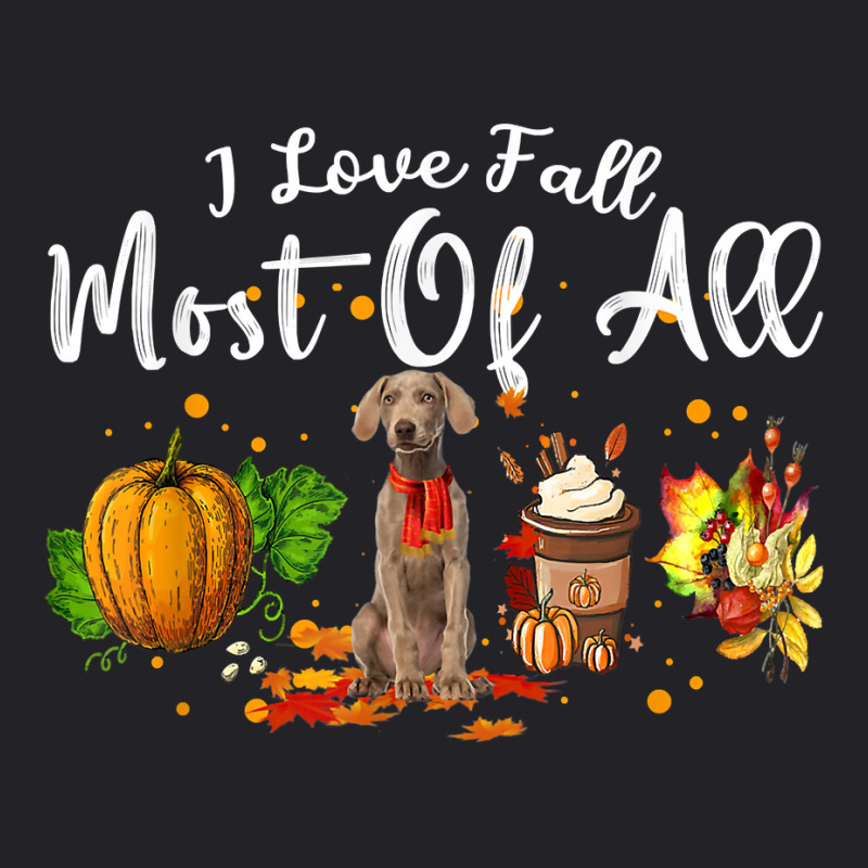 I Love Fall Most Of All Pumpkin Weimaraner Autumn Season T Shirt Youth Tee by dubrayhecallezhd | Artistshot