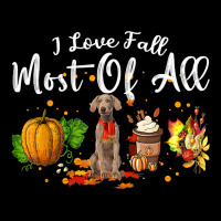 I Love Fall Most Of All Pumpkin Weimaraner Autumn Season T Shirt Youth Hoodie | Artistshot