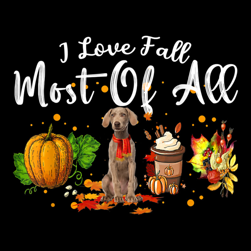 I Love Fall Most Of All Pumpkin Weimaraner Autumn Season T Shirt Youth Hoodie by dubrayhecallezhd | Artistshot