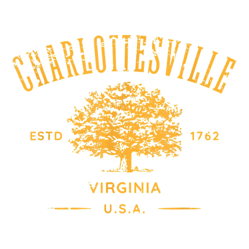 Charlottesville Virginia Usa Vintage Distressed Style Design T Shirt Youth Sweatshirt | Artistshot