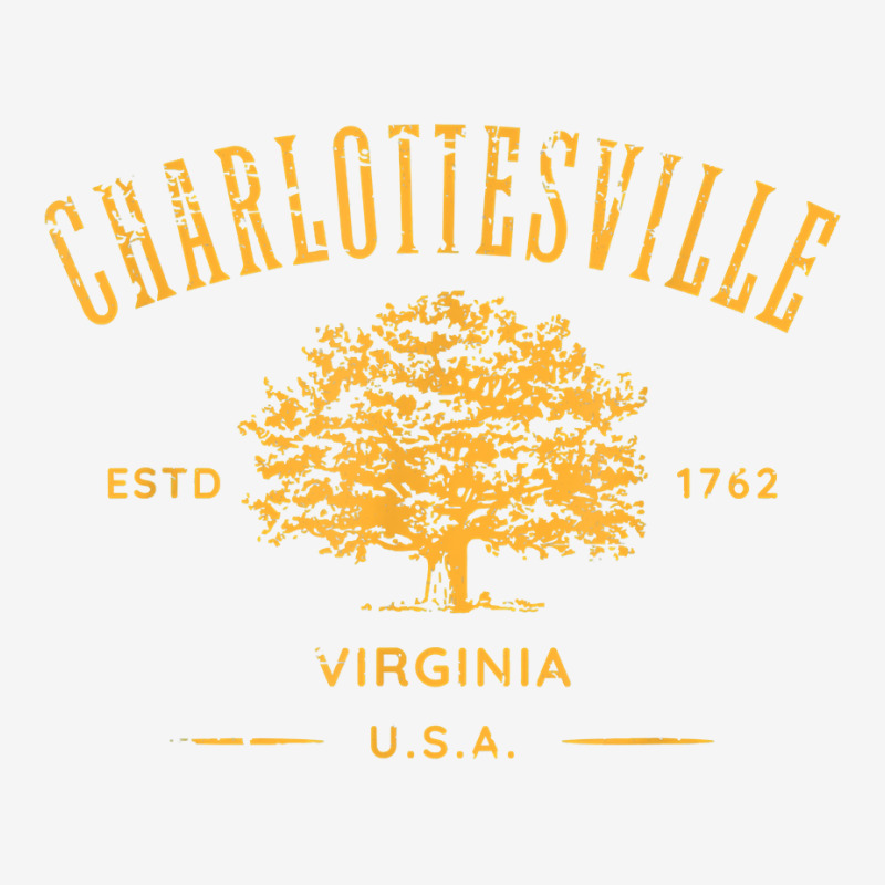 Charlottesville Virginia Usa Vintage Distressed Style Design T Shirt Baby Beanies | Artistshot